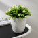 Kashpo for flowers with an insert "grace", 1.2 l, white color