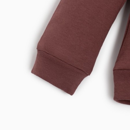 Kidsa (sweatshirt, shorts) minku, brown color, height 92-98 cm-8