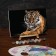 Picture on numbers on a canvas with a tiger subframe, 30x20 cm