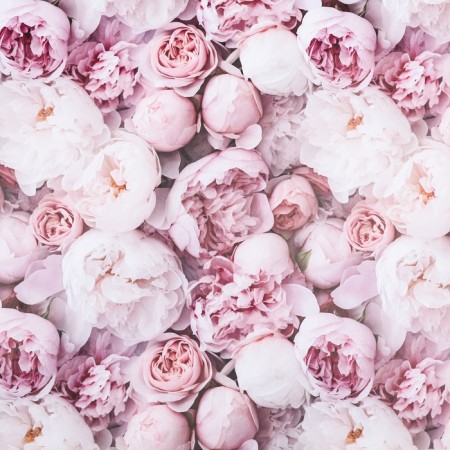 Package Paper, glossy "Spring bouquet of peonies", 50 x 70 cm-2