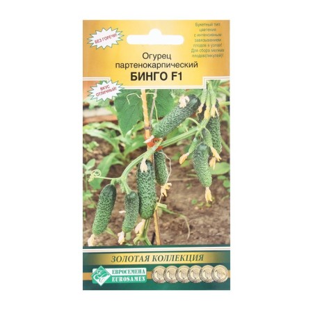 Seeds Cucumber Parthenocarpic Bingo F1, 5 pcs