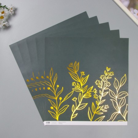 Paper D/Scrap Bilateral "Vera. Fwear Gold", 180 g, nr 5 pcs 30.5x32 cm-2