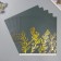 Paper D/Scrap Bilateral "Vera. Fwear Gold", 180 g, nr 5 pcs 30.5x32 cm