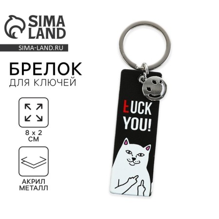 Acrylic key a keychain, the plate "*uck you!", 18+, 8 x 2 cm