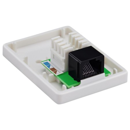 Buro TL-CAT-013 adapter-2