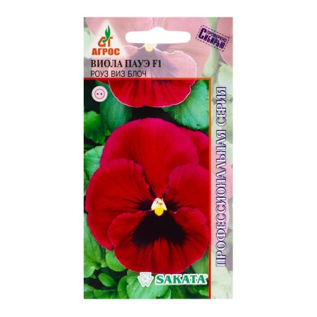 Seeds Viola Paue F1 Rose Viz Bloch 8pcs*