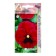 Seeds Viola Paue F1 Rose Viz Bloch 8pcs*