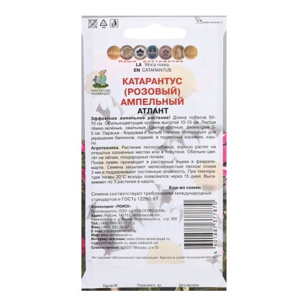 Flowers Cataranth Ampelus "Atlant", 10 pcs-1