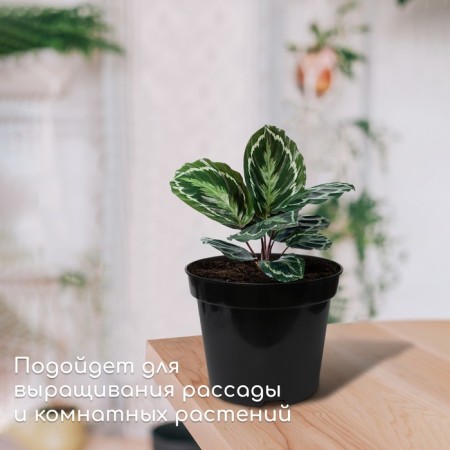 Pot for seedlings, 2 l, d = 17.5 cm, h = 13 cm, black, greengo-2
