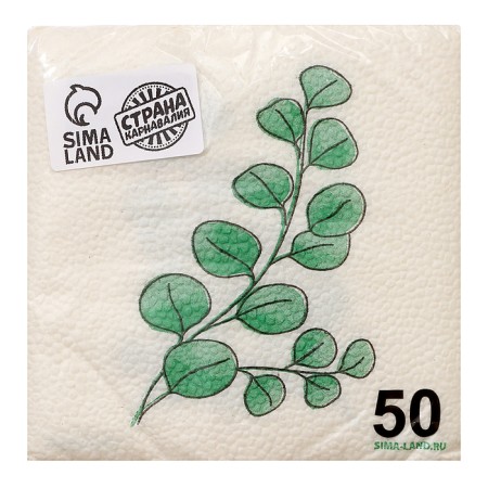 Salfets single -layer "eco" eucalyptus 24x24 cm, set of 50 pcs.-2