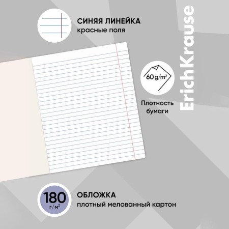 Notebook of 12 sheets in the Erichkrause "Duotone Next", the cover coated cardboard, an offset block 100% whiteness, mix-2