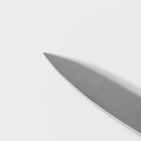 Knot Kitchen Magistro Ardone, blade 12.5 cm, silver color-2
