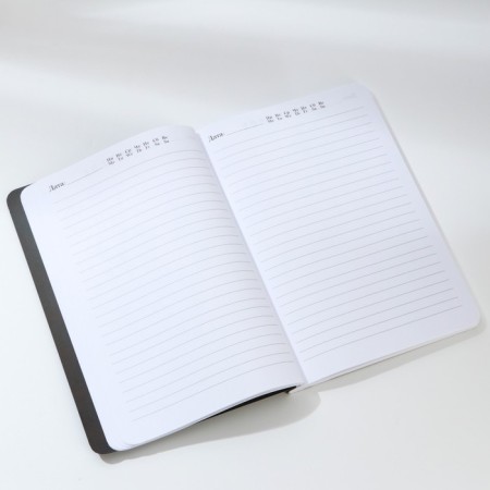 Diary A5+, 100 l. Soft region-4