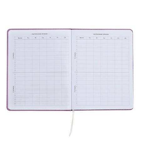 Universal diary for grade 1-11 Mentality, hard cover, artificial leather, foam rubber, lies, 80 g/m2-4