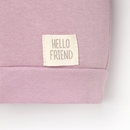 Costume: sweatshirt and pants crumb I, Basic Line, height 74-80 cm, pink color-8
