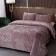 Set: cover 240x260 cm, pillowcase 50x70 cm - 2 pcs, color ash -cutting color