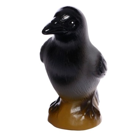 A set of figures "Studying birds"-1