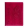 School diary for grades 5-11, PVC cover, "butterfly", mix