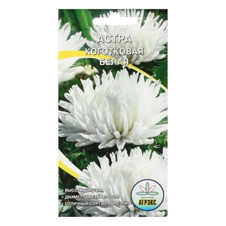 Flower seeds Annual Astra Clack white 0.2