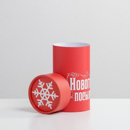 Gift Box "New Year's Enterprise", 8 x 14.5 cm, New Year-1