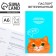 Veterinary passport international "Red cat"