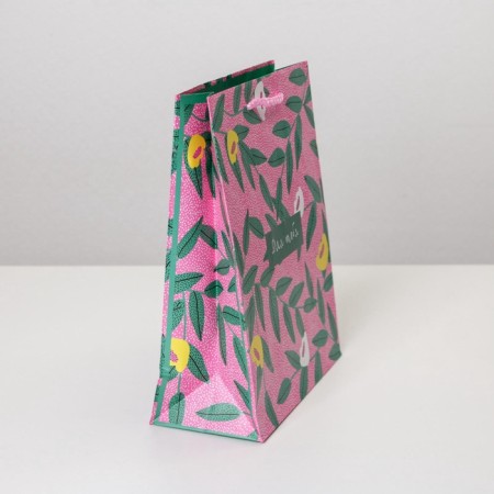 Gift package laminated, packaging, for you, MS 18 x 23 x 8 cm-2