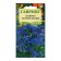 Seeds Dolphinium "Blue Cloud", 0.05g
