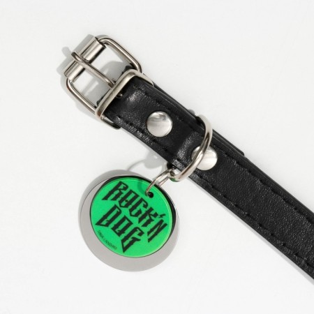 Rochin Dog dog collar with an addressee, Osh 27-34 cm-5