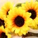 Artificial flowers "five sunflower" 9x53 cm