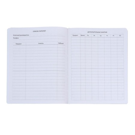 Universal diary for grade 1-11 "miracle", solid cover, artificial leather, foam rubber, lies, 80 g/m2-4