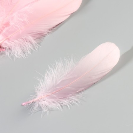 A set of feathers of the goose 13-18 cm, 20 pcs, light pink-2