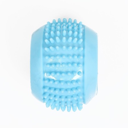 Dog toy "Hedgehog", TPR, massage, 6.5 cm, blue-2