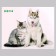 Stick 3D Interior pets 50*40cm