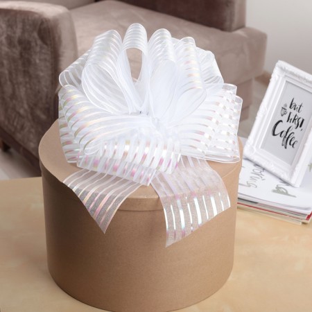 Bant-Shar No. 10 "stripes", white color-3