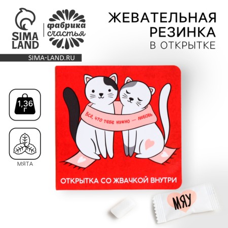 Chewing gum in the postcard “Everything you need”, 1, 36 g.