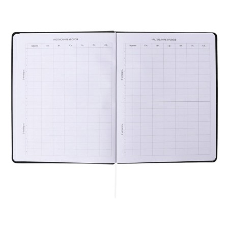Universal diary for grade 1-11 Tokyo Girls, solid cover, artificial leather, foam rubber, liesse, 80 g/m2-4