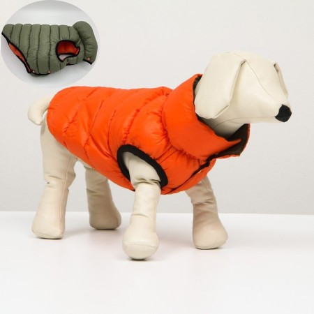 Dog jacket two -sided with a collar, ds 24, Osh 24, og 40, orange/green