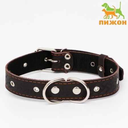Collar leather reinforced with a kapron with a half-ring, 62 x 3.5 cm, Osh 33-60 cm, brown