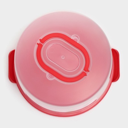 A dish for a cake and cakes with a lid of a share, 30.5 × 21.5 cm, color mix-1