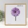 Photo frame plastic LIDA 30x30 cm Gold (plastic screen)