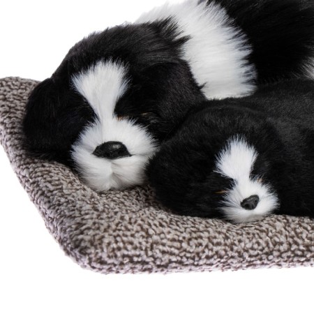 A toy on a car panel, dogs on a pillow, white and black color-1