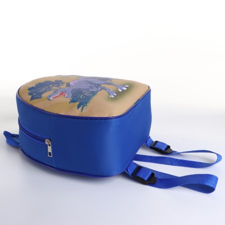Children's backpack on the zipper "chosen", the color is blue-4