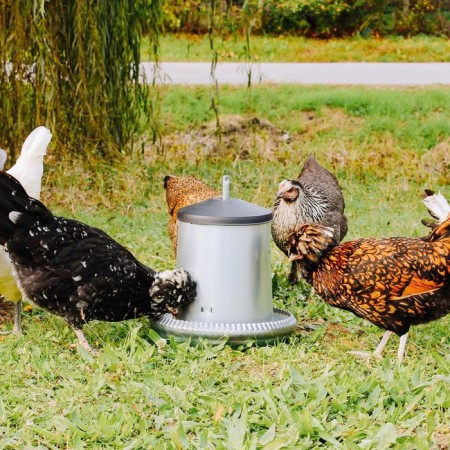 Bunker feeder for poultry for 5 kg, galvanized steel-2