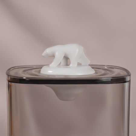 Organizer for storage "Bear", with a lid, 9 × 9 × 13.5 cm, the color is transparent-6