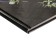 Diary for grades 5-11, "skate", solid cover 7BC, glossy lamination, 48 sheets