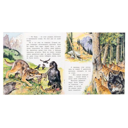 We know the world around us "The Adventures of the Wolf"-2