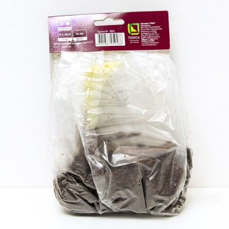 Host Hybrid Bressingham BLLU, I rr, 1 pc. 75*100 h (cm), autumn 2024-1
