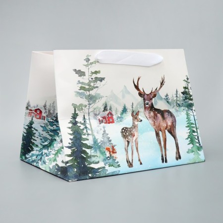 Gift package with a wide bottom "New Year's miracles", 25 x 19 x 18 cm, New Year-3