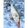 Wobbler sinking vertical LJ Pro Series Vib S, 6.8 cm, color 142