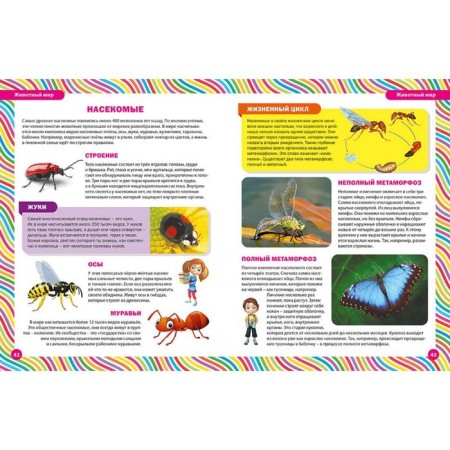 A big book for little curiosity. Illustrated encyclopedia-4